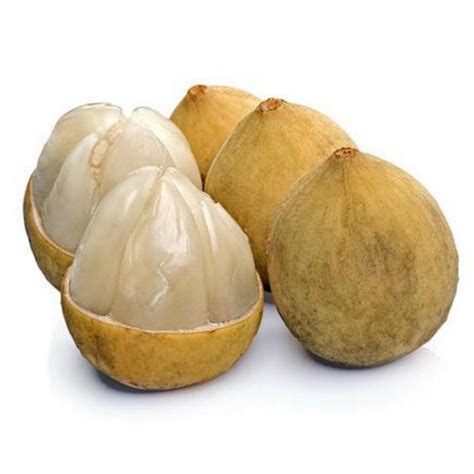 Langsat - Lanzones Seeds (Lansium parasiticum) - Price €4.95