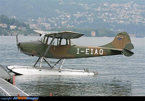 Cessna L19 Bird Dog (I-EIAQ) Aircraft Pictures & Photos - AirTeamImages.com