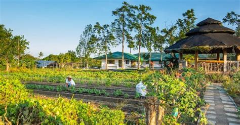 Things to consider when you transform your farm into a tourism site – Getaway.PH