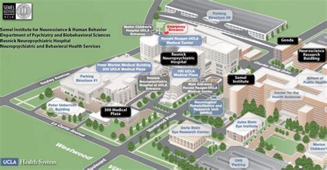 UCLA (Westwood) Medical Enterprise | Semel Institute for Neuroscience ...