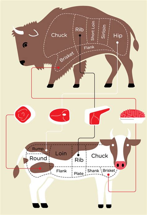 Bison vs. Beef Meat - Consumer Reports Magazine