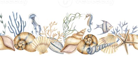 Seashell seamless Border. Hand drawn watercolor illustration of Sea Shell ornament on a ...