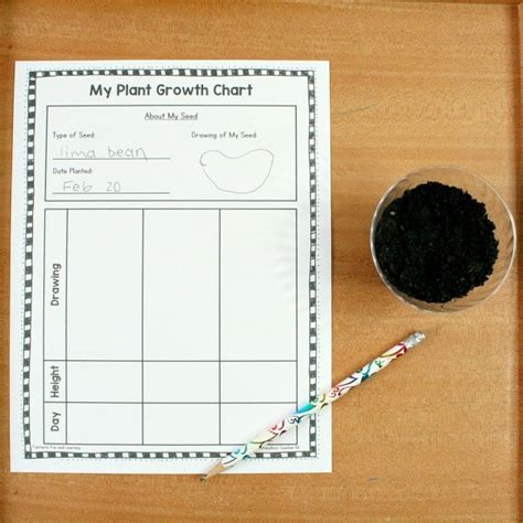 Plant Tracking Sheet for Kids - Fantastic Fun & Learning