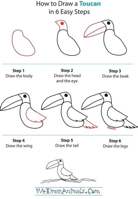 How to Draw a Toucan in 6 Easy Steps | Drawing and Painting Tutorials | Scoop.it | Animal ...