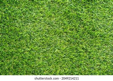 Green Grass Texture Background Green Lawn Stock Photo 2049214211 ...