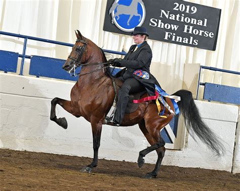 National Show Horse Finals - Howard Schatzberg Horse Show Proofs - 2019 ...