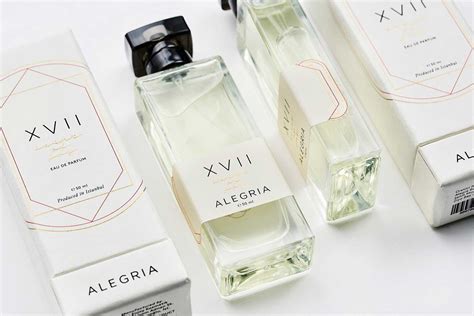 Contoh Kerangka Packaging Parfum Homme - IMAGESEE