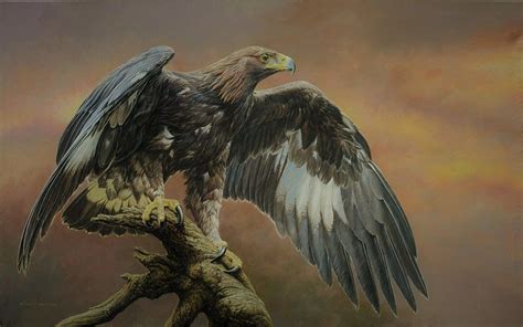 Original Bird of Prey Paintings and Prints For Sale | Wildlife art, Birds of prey, Eagle painting