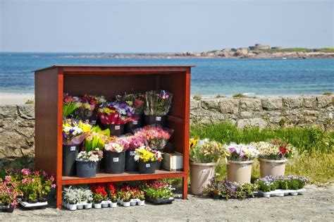 Guernsey, Channel Islands – Guernsey Holidays - VisitGuernsey | Guernsey island, Guernsey ...