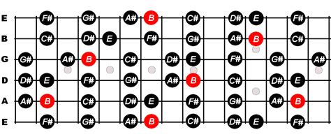 B Major Scale For Guitar - Constantine Guitars