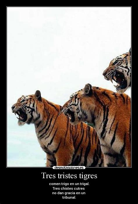 Tres tristes tigres | Desmotivaciones