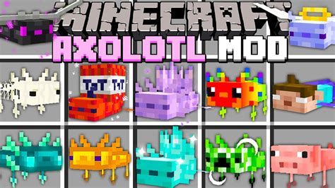 Minecraft MORE AXOLOTL MOD! (Diamond, Buff, Ender, Gold, TNT, Herobrine, Angel) @MooseCraft ...