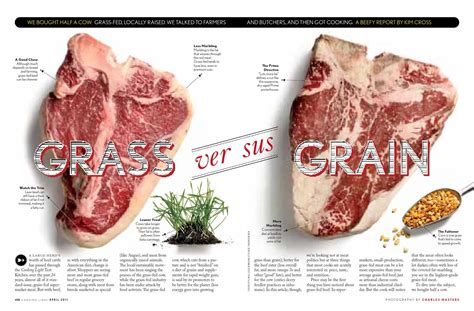 Grass Fed Beef Compared To Grain Fed - Beef Poster