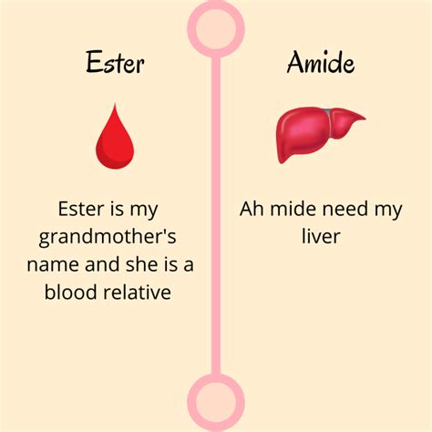 Local Anesthetics, Amides vs Esters – RDHopes.com