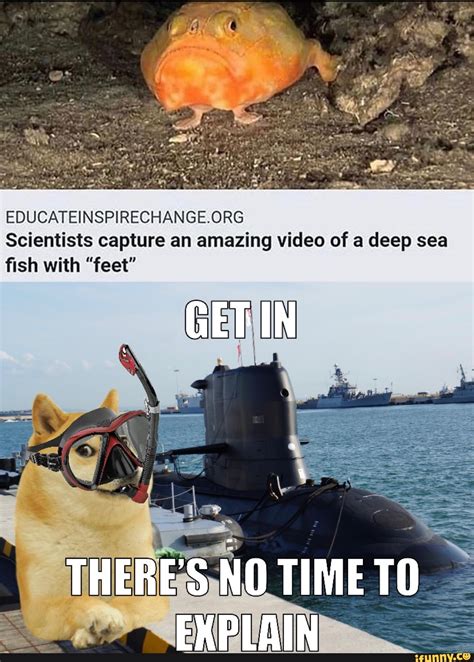 Scientists capture an amazing video of a deep sea fish with "feet" GET IN THERE'S NO TIME TO ...