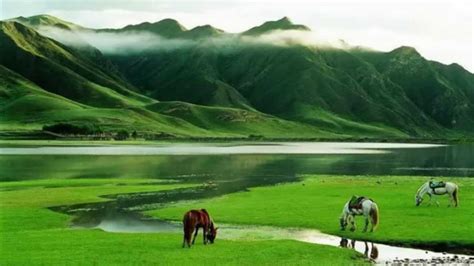 Beautiful grasslands in China (HD1080p) - YouTube