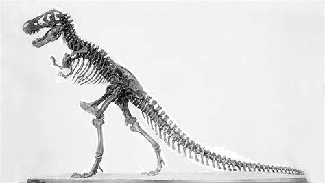Top 61+ imagen t rex fossil in ground - Abzlocal.mx