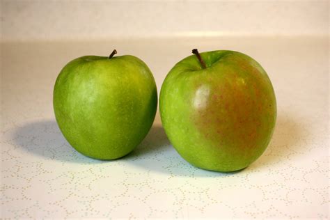 Granny Smith Apples Picture | Free Photograph | Photos Public Domain