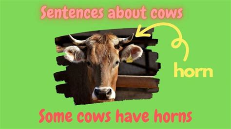 10 Lines On Cow: A Fun And Useful English Boost!