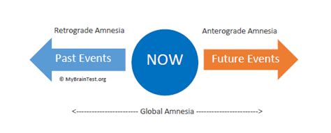 Types of Amnesia, Definitions - MemoryHealthCheck