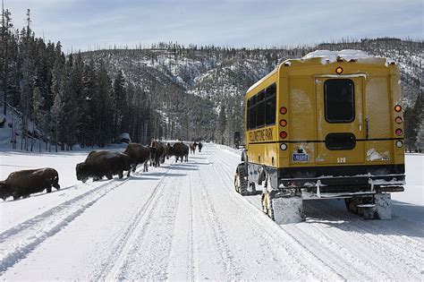 Snow Coach Rides - Jackson Hole Reservations