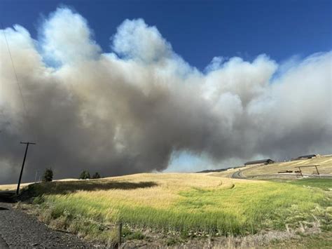 FIREWATCH: Gray Fire in Medical Lake has destroyed 240 homes, 97% ...