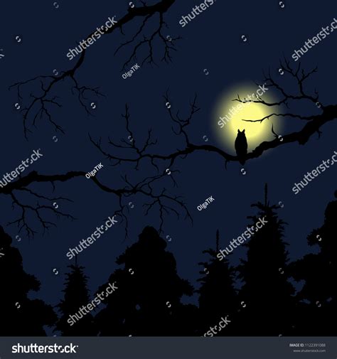 Owl On Tree Night Silhouette Owl Stock Vector (Royalty Free) 1122391088 | Shutterstock