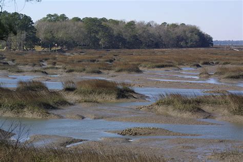 Pluff Mud Photograph by Jean Wolfrum