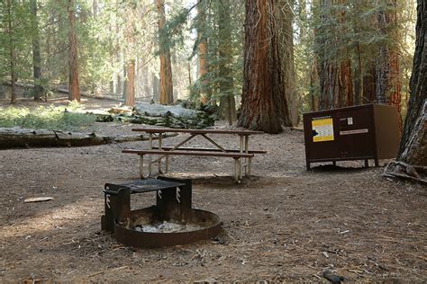 Sequoia National Park Camping: The Best Guide to All 7 Campgrounds