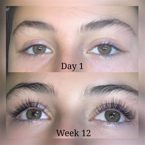 Amazing eyelash serum results before and after in 2020 | How to grow eyelashes, Brow growth ...