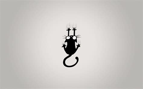 Minimalistic Cat Wallpapers - Top Free Minimalistic Cat Backgrounds ...