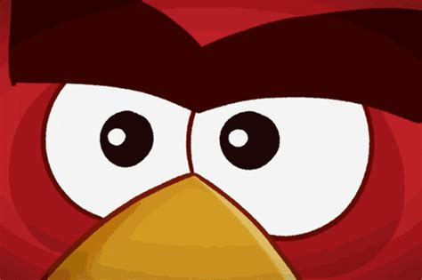 Angry Birds Toons GIFs - Find & Share on GIPHY