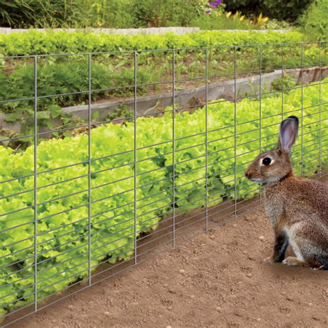 Rabbit Wire Netting galvanised 1050x31x50mts freebies are shared everyday Thousands of Products ...