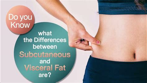 Subcutaneous vs Visceral fat - YouTube