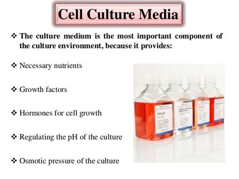 Introduction to animal cell culture