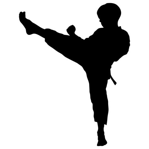 Boy Karate Kick Silhouette Wall Decal – WallMonkeys.com