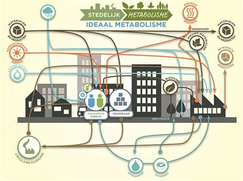 Data Visualization Examples | All images | Metabolism of Cities