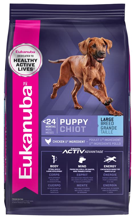 Puppy Large Breed Dry Dog Food | Eukanuba