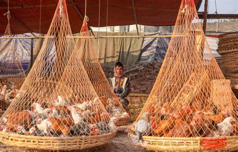 Dhaka Markets, Bangladesh