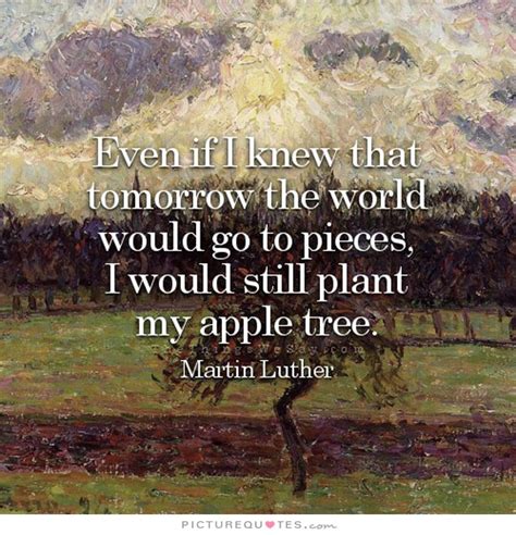 Quotes About Apple Trees. QuotesGram