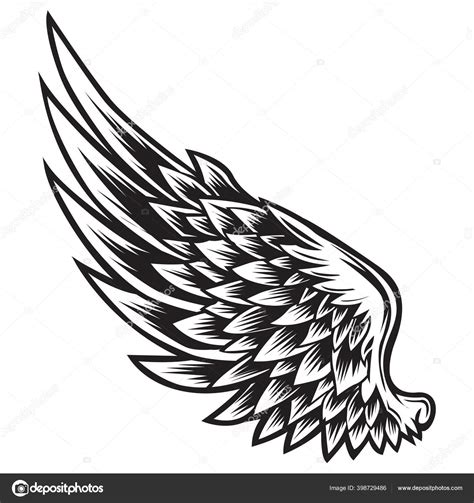 Wings Bird Black White Bird Wings Feathers Vector Illustrator Stock Vector Image by ...