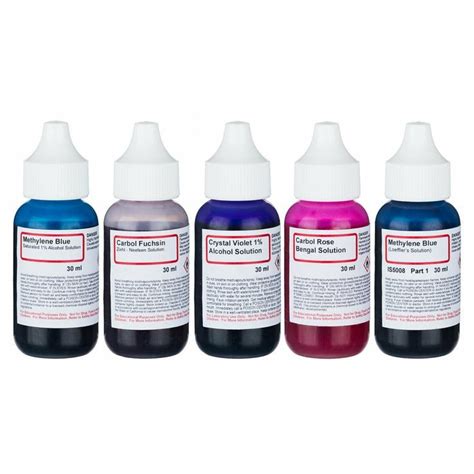 SK-5 Bacteria Stains Kit 5 Chemicals Gram Staining Microscope Slides | Microscope slides, Stain ...