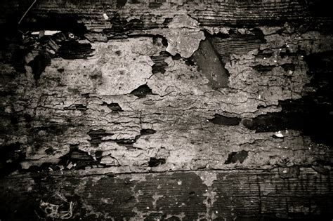 Free photo: Grunge Cracked Paint - Cracked, Dark, Gloomy - Free Download - Jooinn