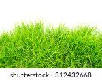Grass White Background Free Stock Photo - Public Domain Pictures