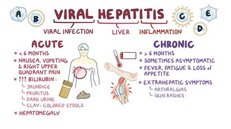 Viral hepatitis: Clinical: Video, Anatomy & Definition | Osmosis