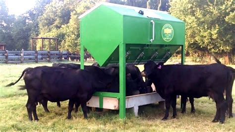 Solar Livestock Feeder Watch This! | Cattle feeder, Cattle barn designs ...