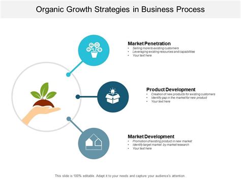 Organic Growth Strategies In Business Process | PowerPoint Slide Images | PPT Design Templates ...