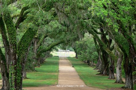 Discovering Louisiana: Rosedown Plantation - My Big Fat Happy Life