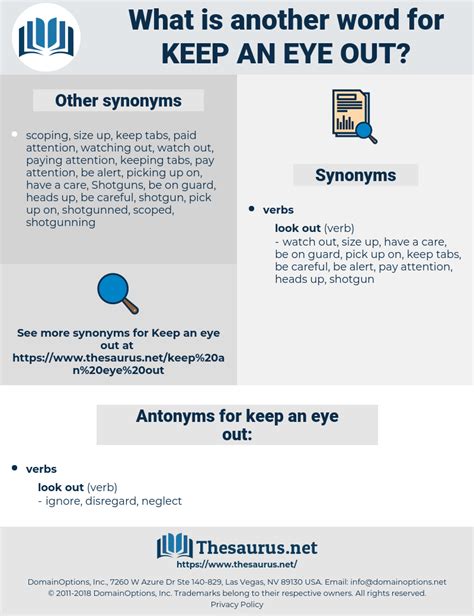 KEEP AN EYE OUT: 32 Synonyms and 3 Antonyms | Thesaurus.net