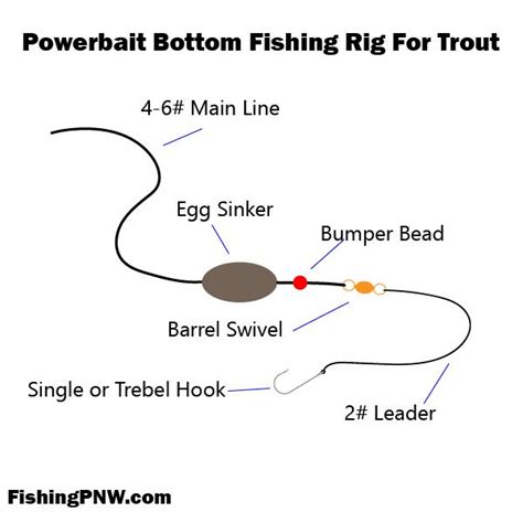 Bottom fishing for trout in lakes | Bottom fishing, Trout fishing tips ...